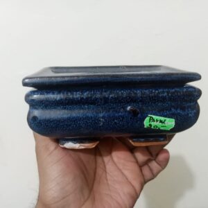 Chinese Bonsai Pot